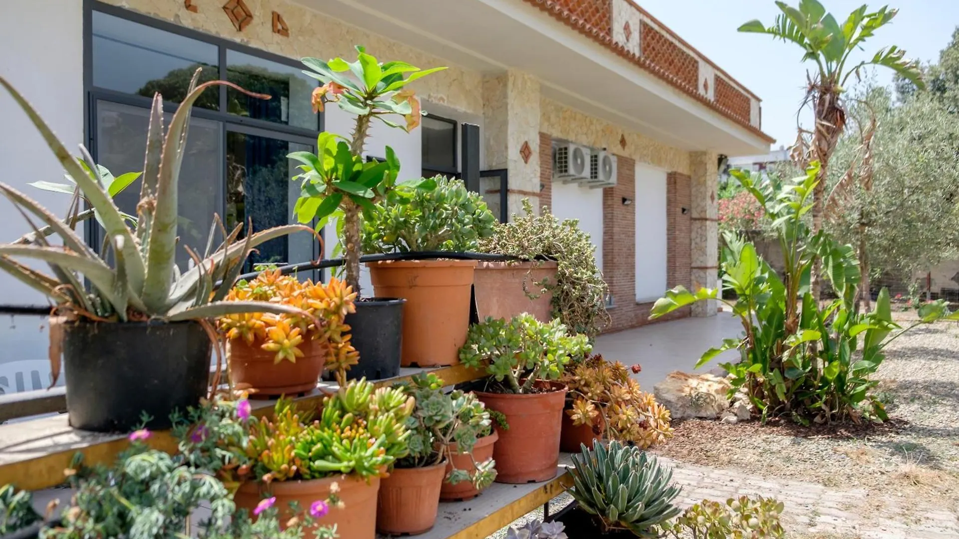 Bed & Breakfast Il Vivaio Bed And Breakfast Santa Teresa Di Riva