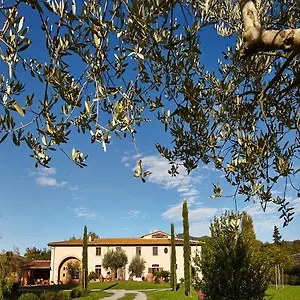 Ai Condotti Di Pisa Da Filippo Couette-café San Giuliano Terme